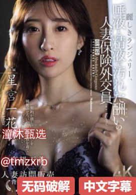 杨思敏新金瓶梅No.1 STYLEシリーズ,无删减完整版观看免费