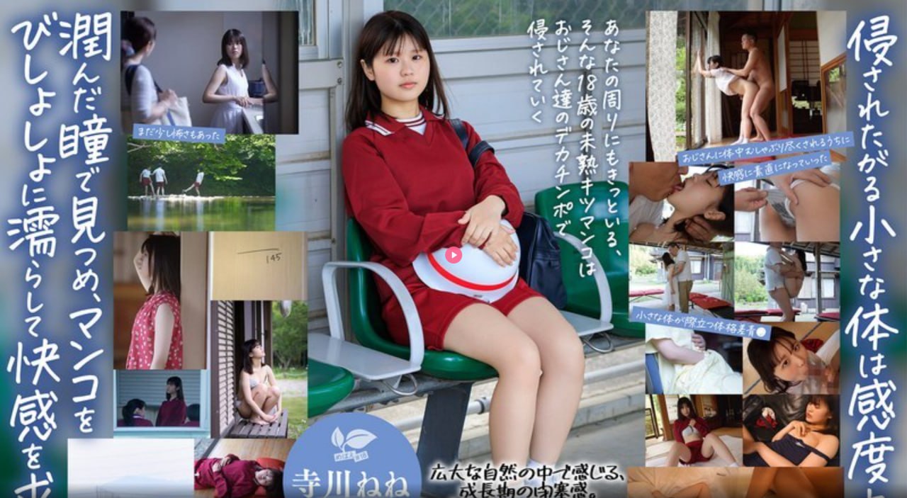 日本动漫免费播放网站正规平台,精选动漫免费观映,正规平台一网打...